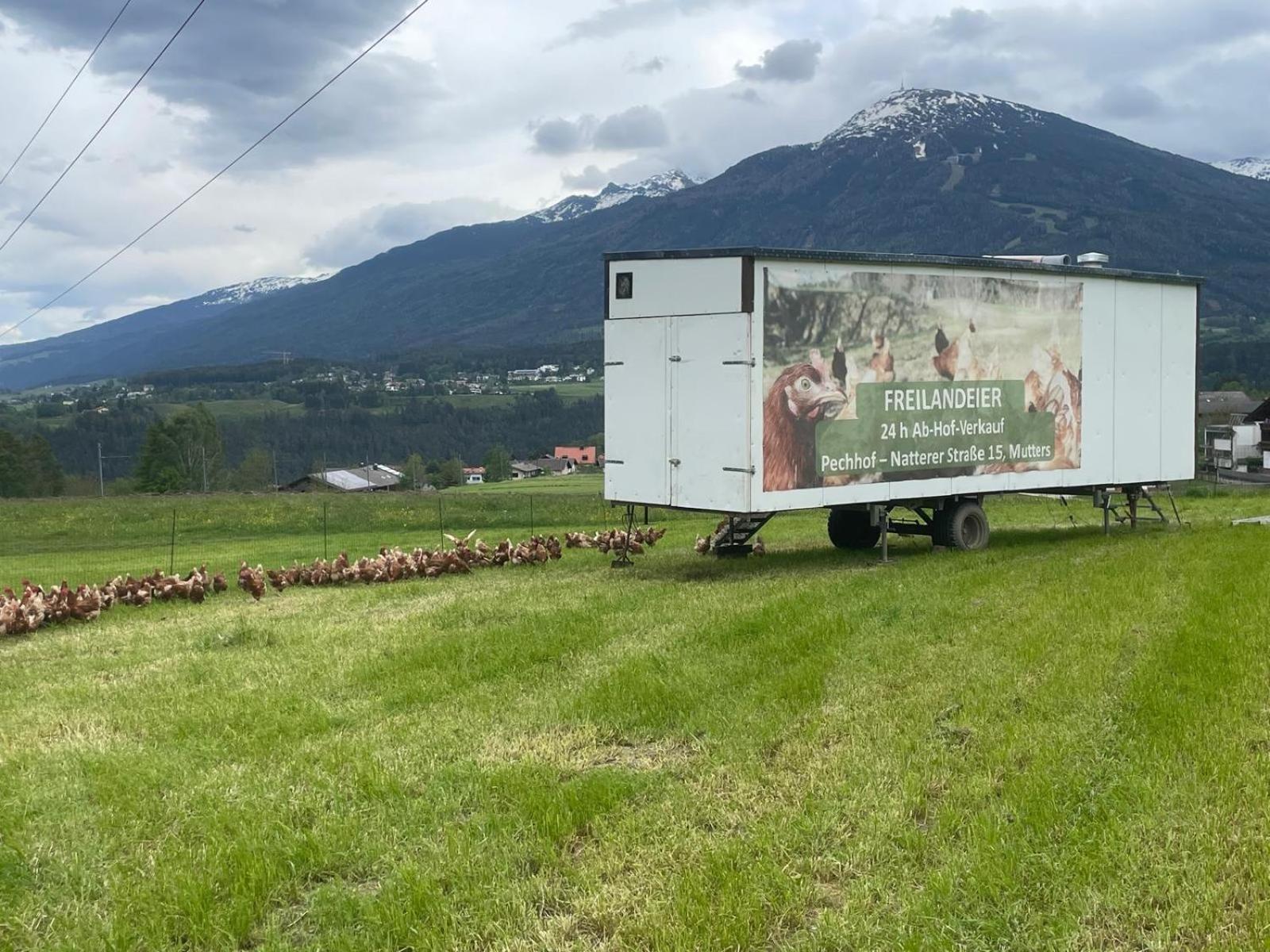 Pechhof Villa Innsbruck Eksteriør billede